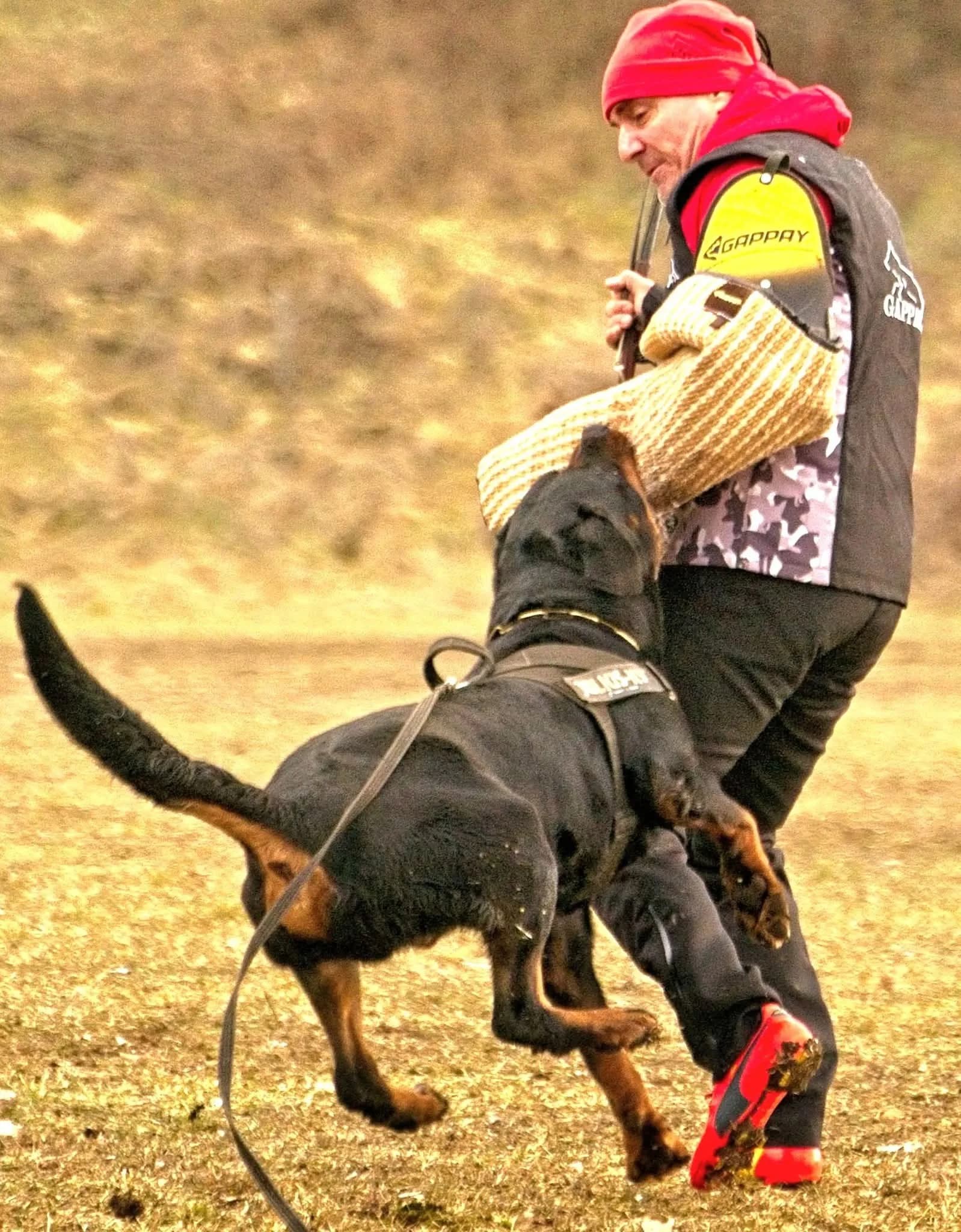 Estor von Oderhellen gripping the sleeve in protection work