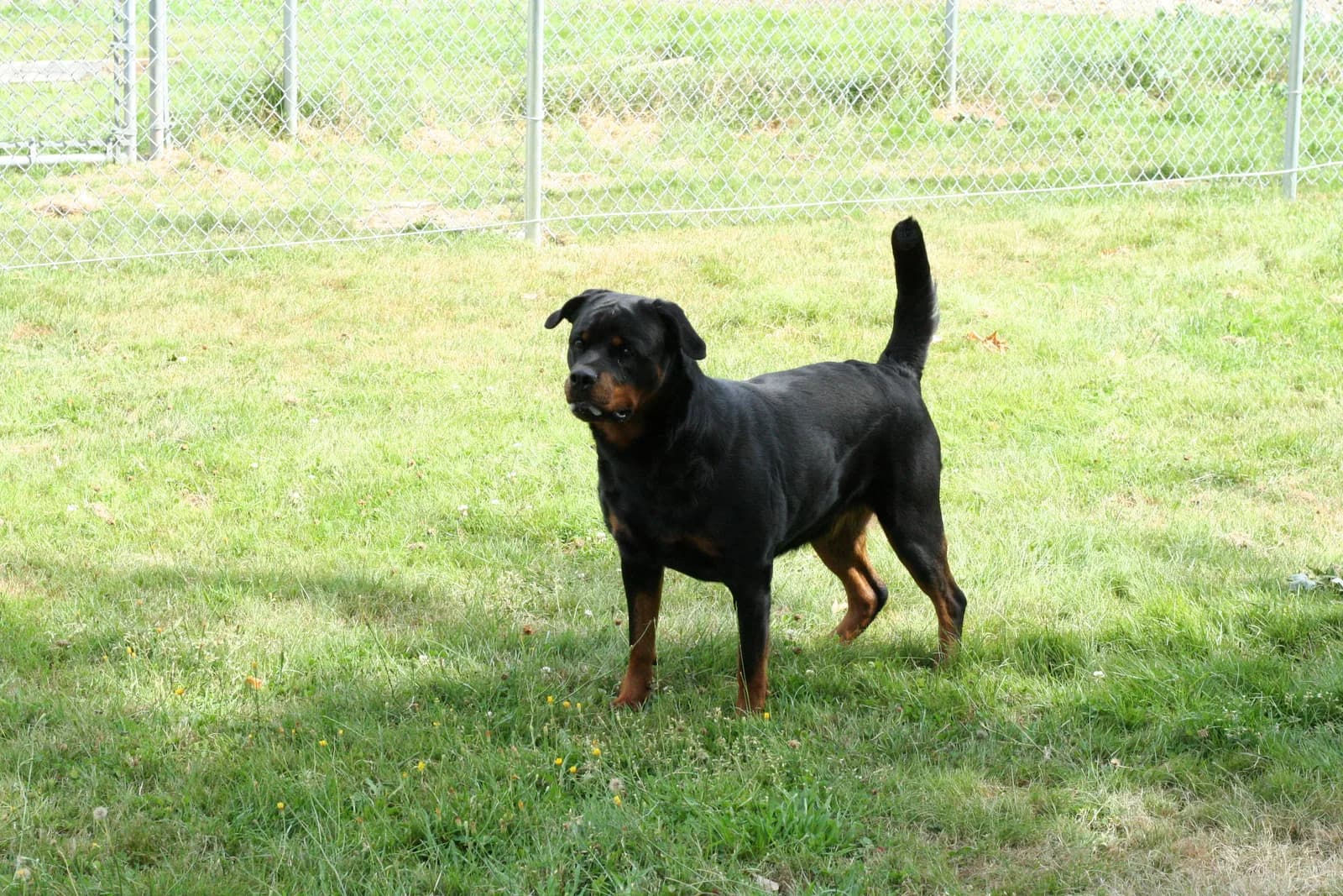Ida moving toward the camera in the run